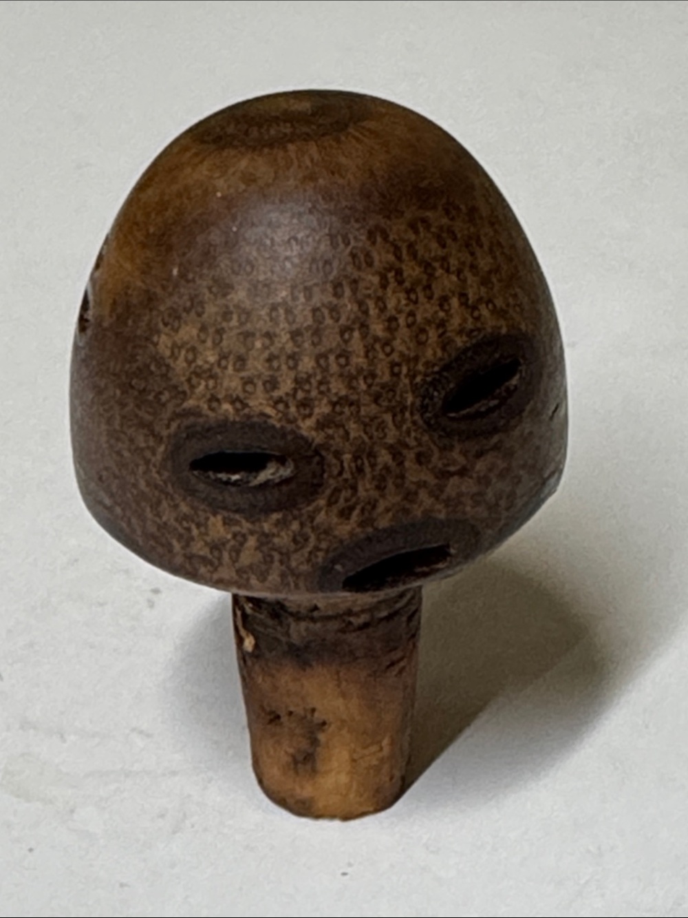 wine bottle stopper made from an Australian banksia seed pod 3”